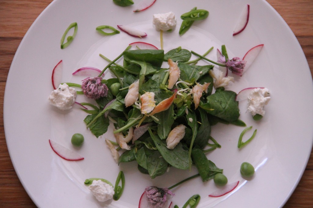 smoked trout and arugula salad