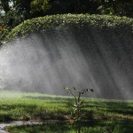 Sprinkler in sunlight